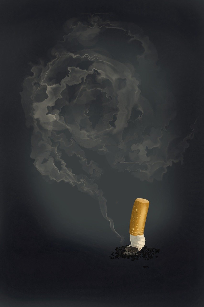 What Daily Habits Make the Biggest Difference in Entrepreneurial Success?
