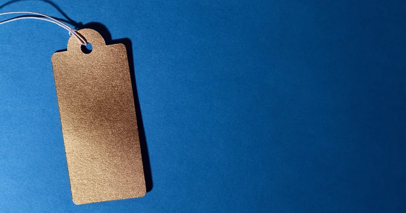 The three pricing models that actually work early