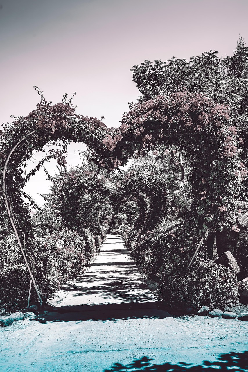 explore the power of gratitude and its transformative effects on your life. discover how cultivating a grateful mindset can enhance well-being, improve relationships, and foster a positive outlook. join us in embracing the art of thankfulness.