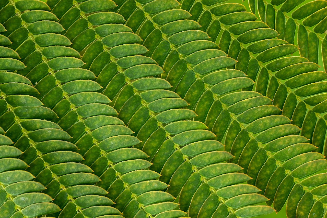 discover the essential elements of legal structures for businesses. understand different types, their advantages, and how to choose the best framework to support your company's goals and compliance needs.