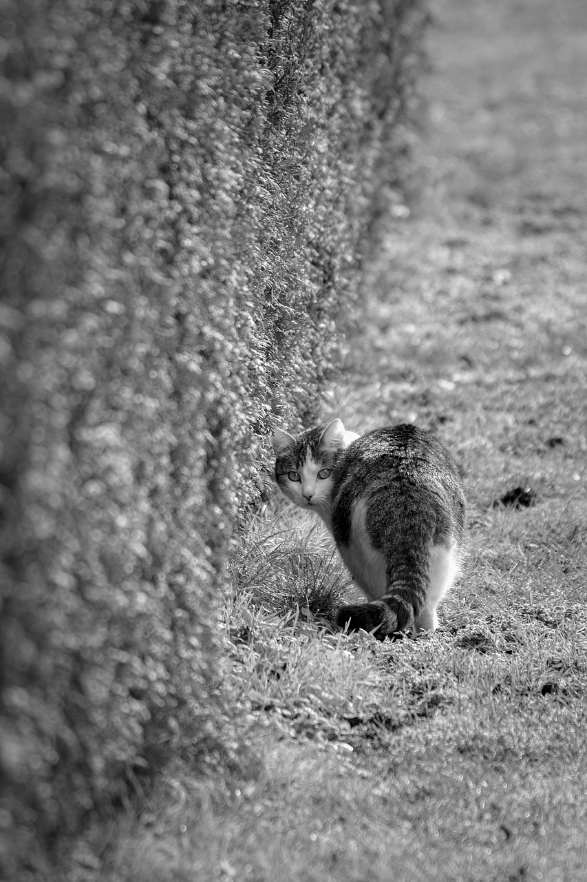 explore the concept of validation and its importance in various fields. learn how validation ensures accuracy, reliability, and efficiency in processes, products, and systems.