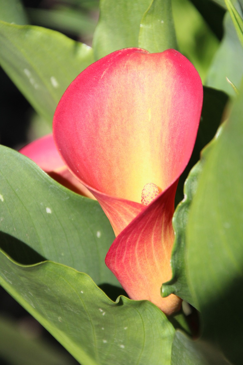 unlock the potential of your business with effective sales funnel optimization. discover strategies to enhance lead generation, improve conversion rates, and maximize revenue through targeted marketing techniques. elevate your sales process today!