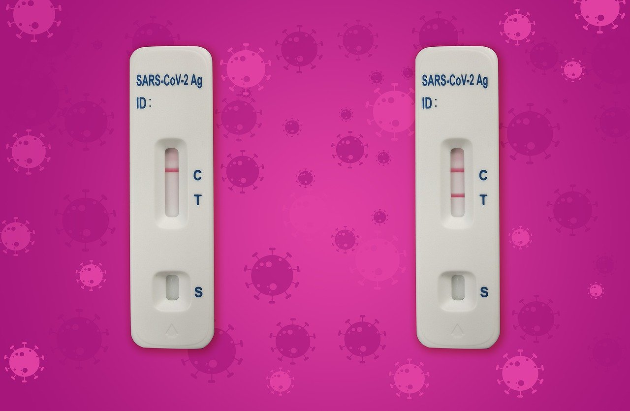 explore the importance of testing in software development. discover various testing methodologies, best practices, and how effective testing can enhance product quality and ensure reliability.